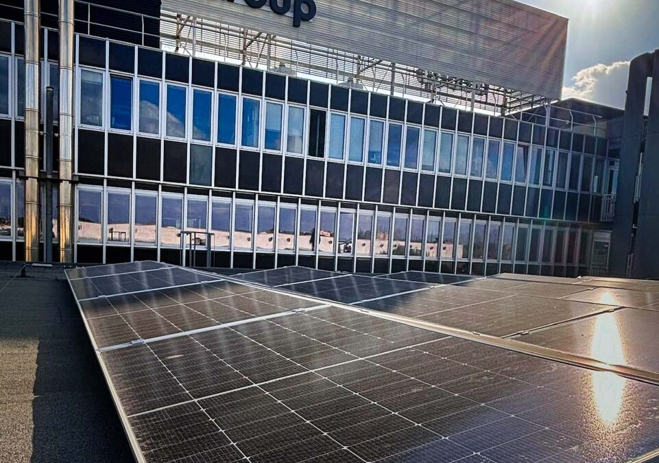 Con il fotovoltaico di Sorgenia, il Gruppo Renault Italia riduce l’impatto ambientale della propria sede