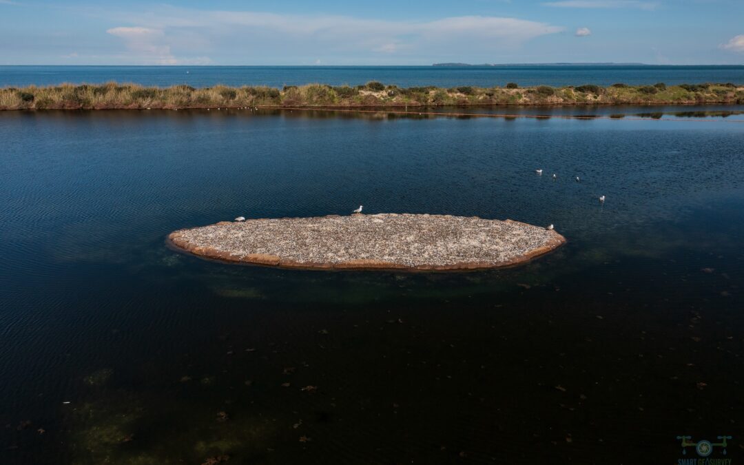 World Wetlands Day in Sardegna Nieddittas dedica tre domeniche per visitare l’area naturalistica di Corru Mannu