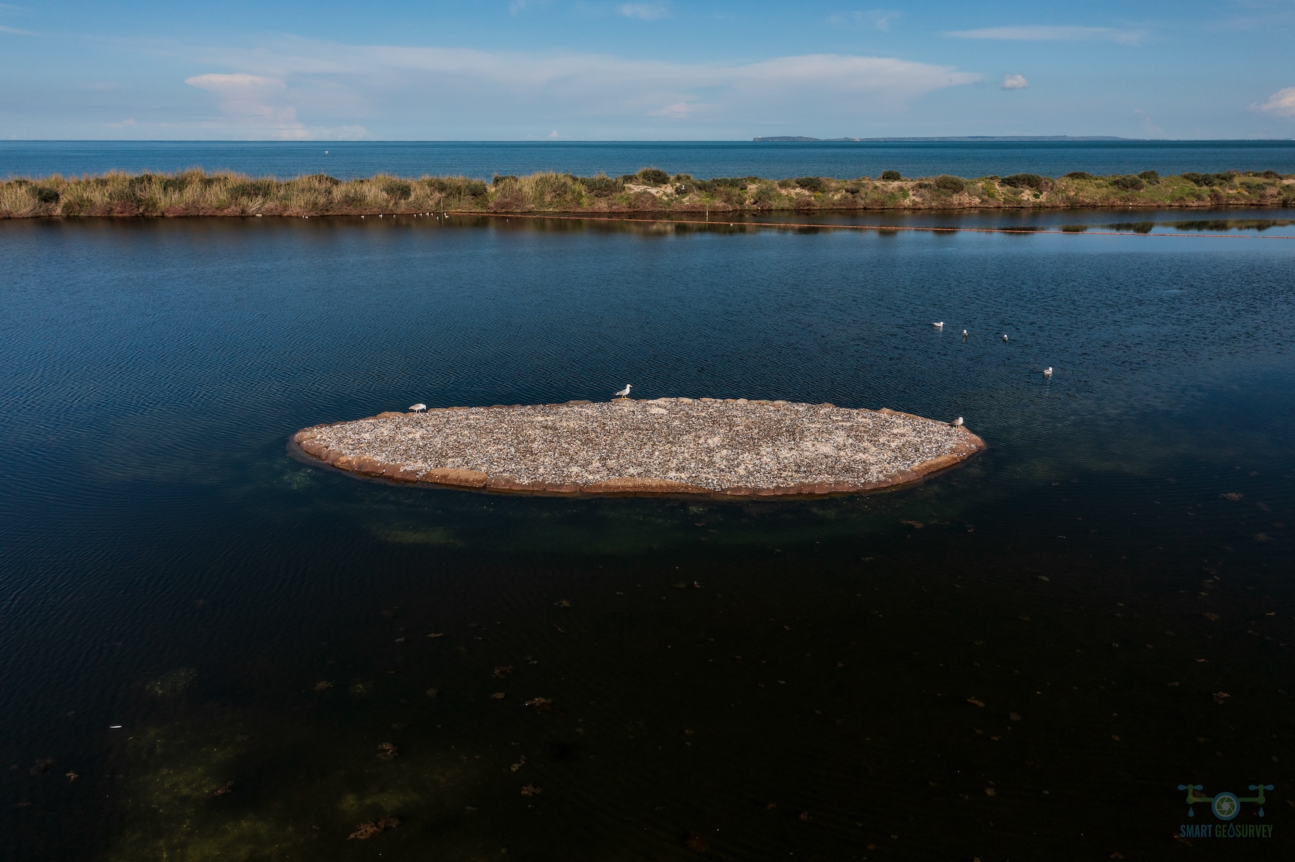 World Wetlands Day in Sardegna Nieddittas dedica tre domeniche per visitare l’area naturalistica di Corru Mannu