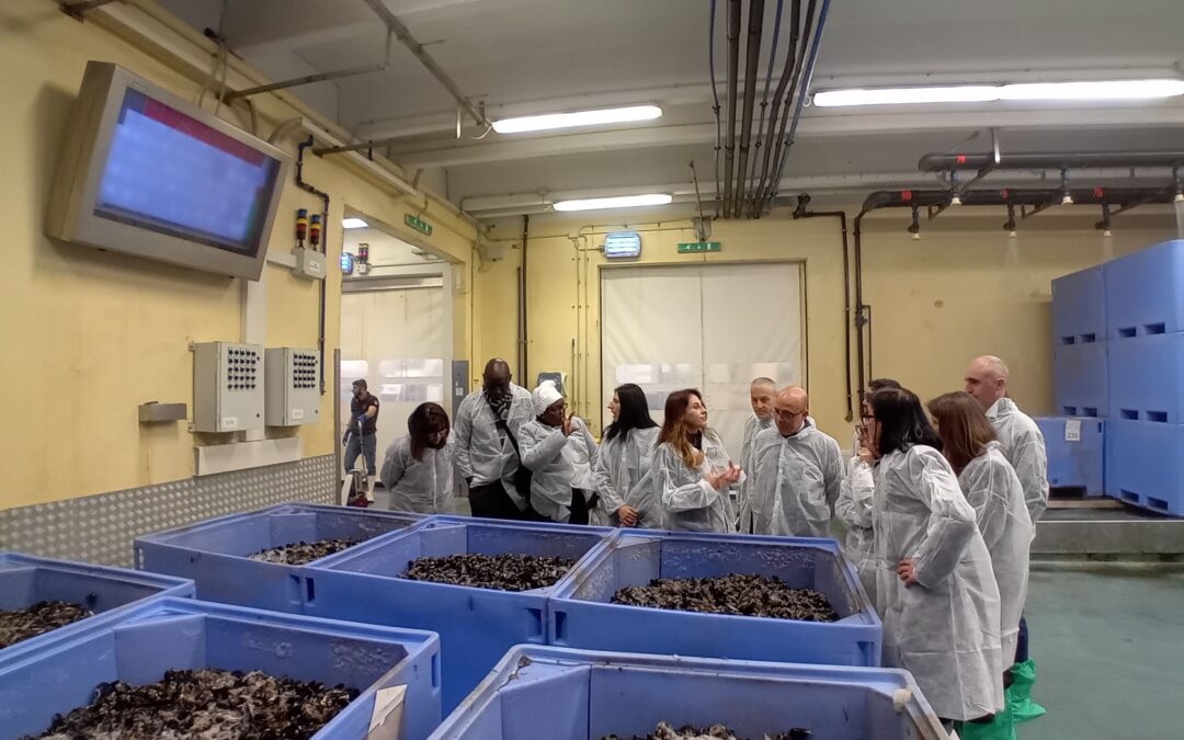 Dall’Africa ad Arborea per amore delle cozze e della libertà. Una cooperativa di donne pescatrici del Senegal in Sardegna per il progetto Pétites Noires. Un messaggio di pace e sviluppo in vista dell’8 Marzo