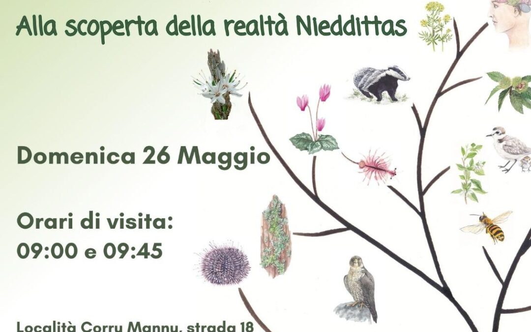 Le Camminate della Biodiversità FAI anche ad Arborea con Nieddittas