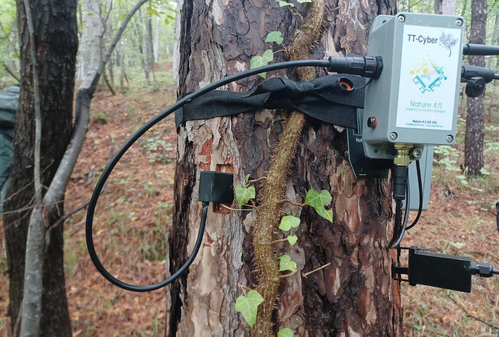 #RigeneraBoschi torna in Emilia Romagna: cura delle foreste e attività ambientali con oltre 80 studenti