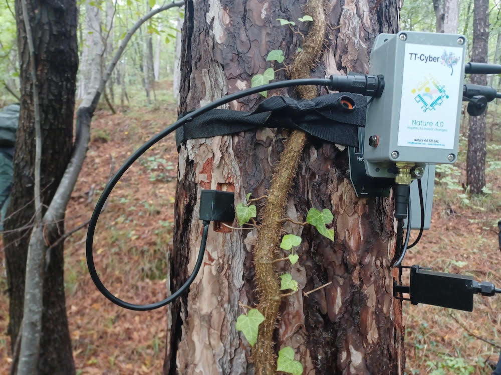 #RigeneraBoschi torna in Emilia Romagna: cura delle foreste e attività ambientali con oltre 80 studenti