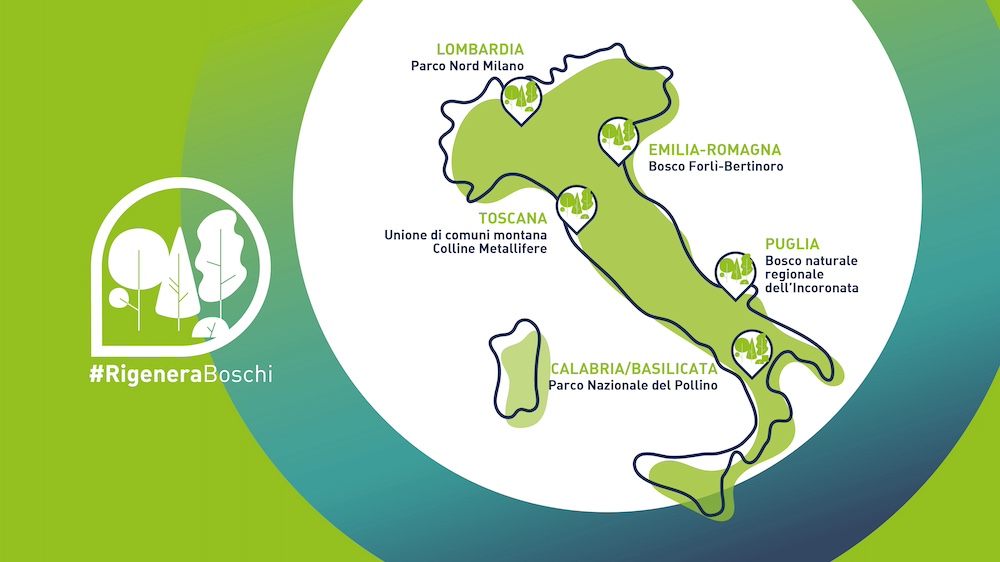 #RigeneraBoschi: in Puglia il 95% degli abitanti vede nelle foreste un alleato chiave contro la crisi climatica. Il 62% chiede più spazi verdi