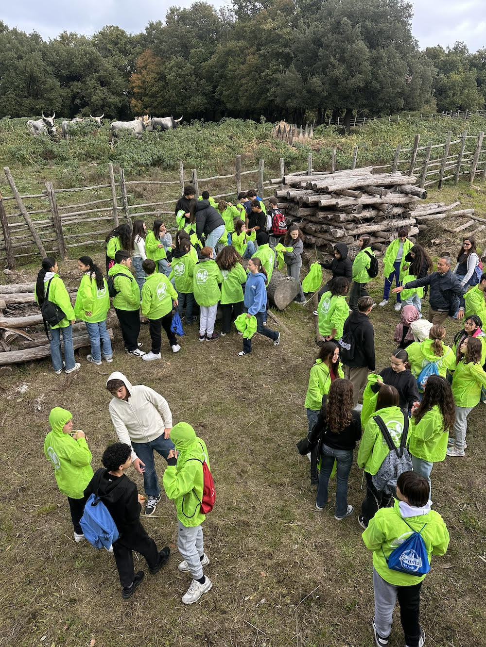 In Toscana 64 studenti protagonisti della tutela delle foreste