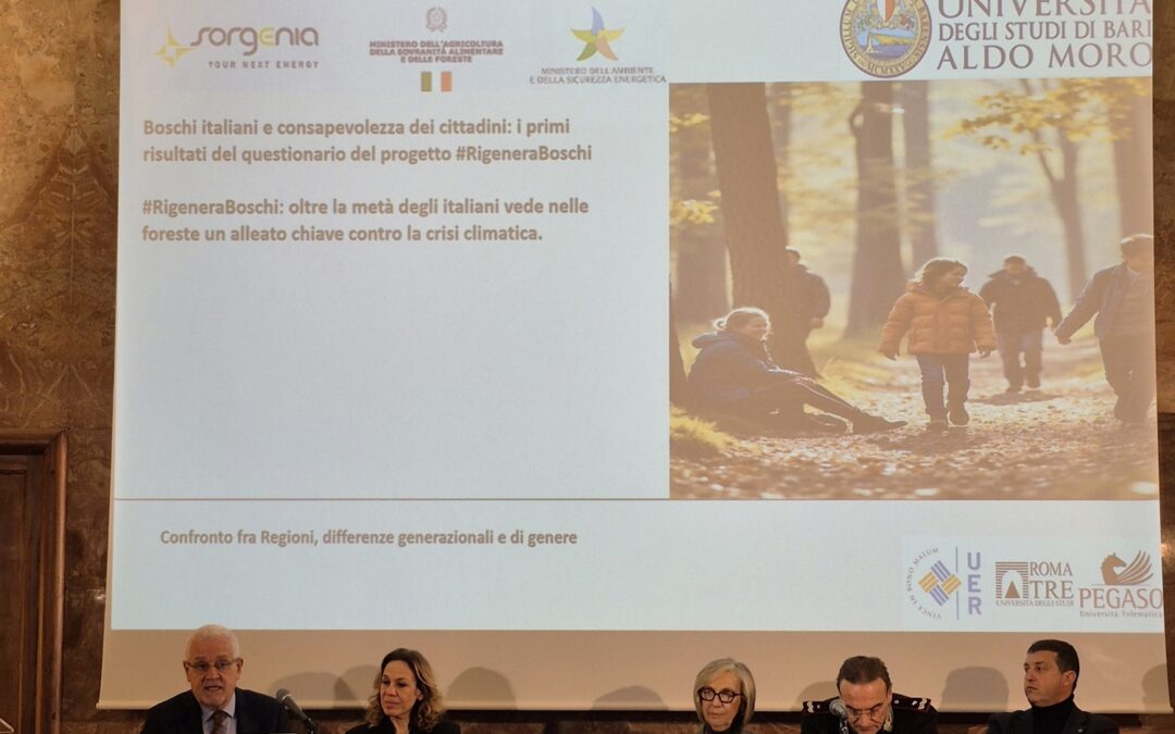 #RigeneraBoschi: i pugliesi riscoprono il bosco come luogo di benessere e alleato del clima. La ricerca di Sorgenia e UniBa