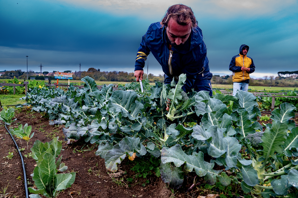 Orto 2.0: l’innovazione digitale a supporto di un’agricoltura di qualità