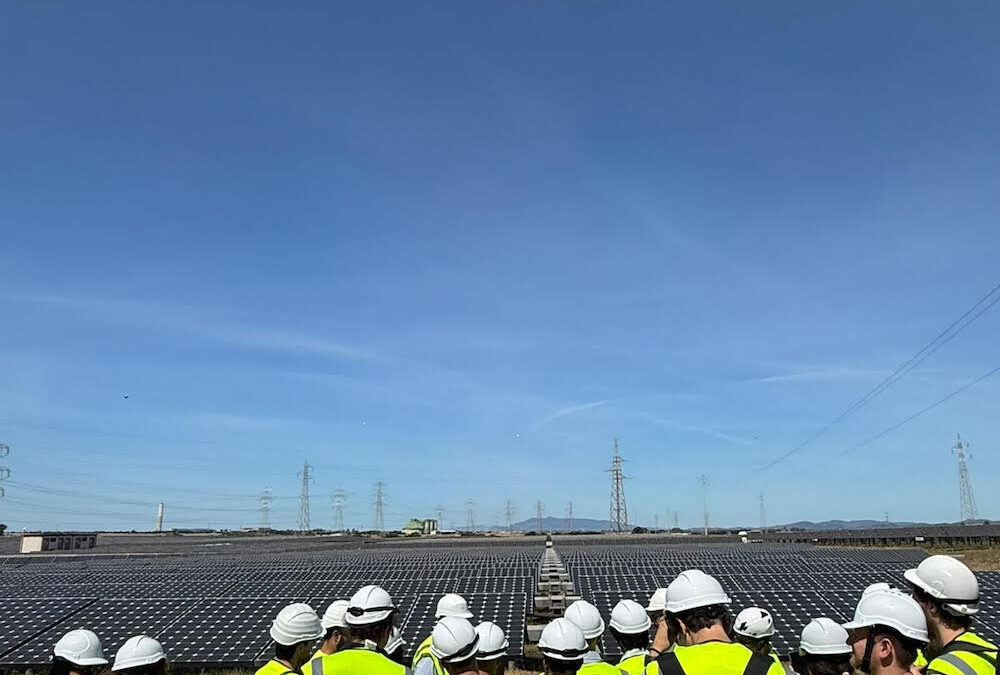 Nuova energia in campo: Sorgenia e SAFE insieme per la formazione dei futuri leader della transizione energetica